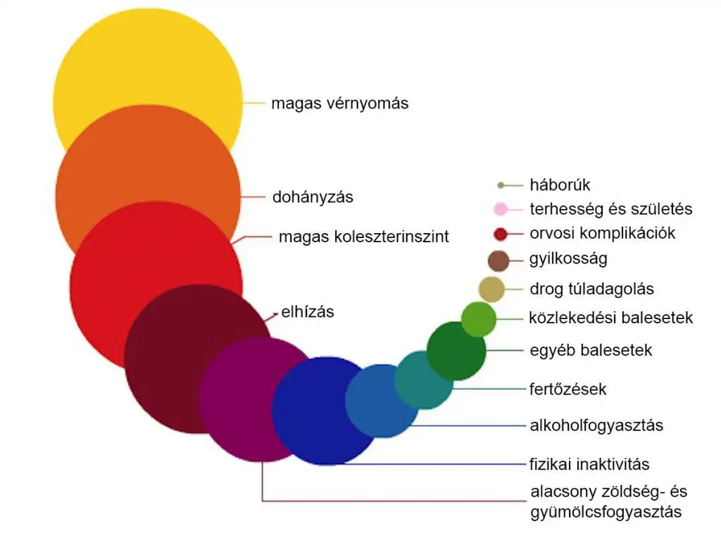 Halálhoz vezető legfőbb rizikófaktorok